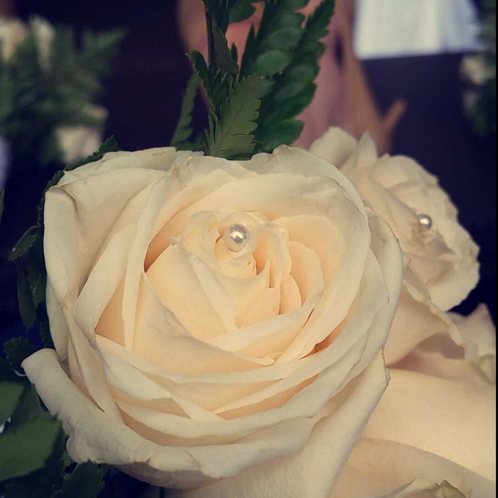 Meet your Posher, Amy